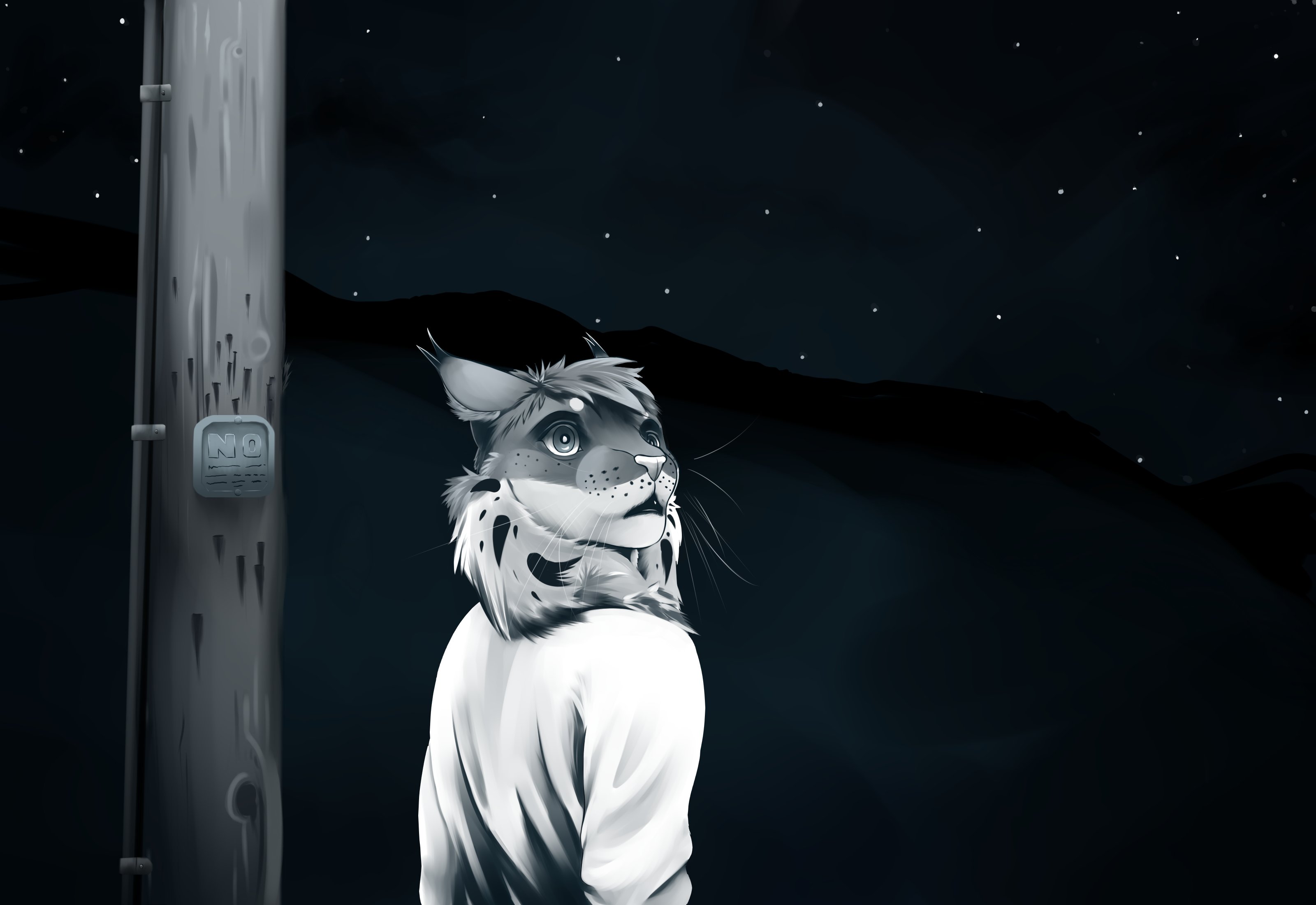 Cropped CG from Echo; TJ Hess in 'Lights'
